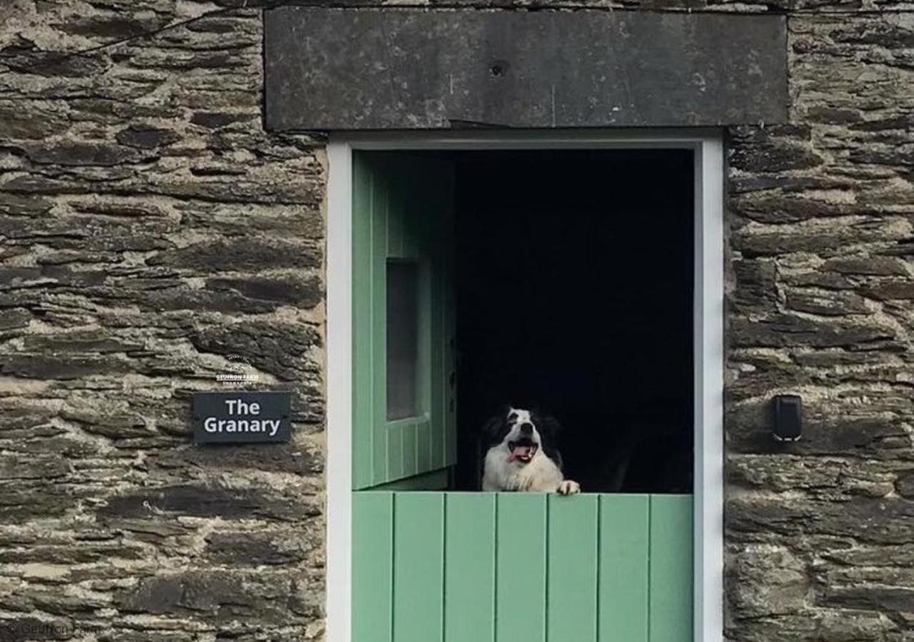 Dog Friendly Cottage, Geufron Farm Near Tywyn Bryn-crug ภายนอก รูปภาพ