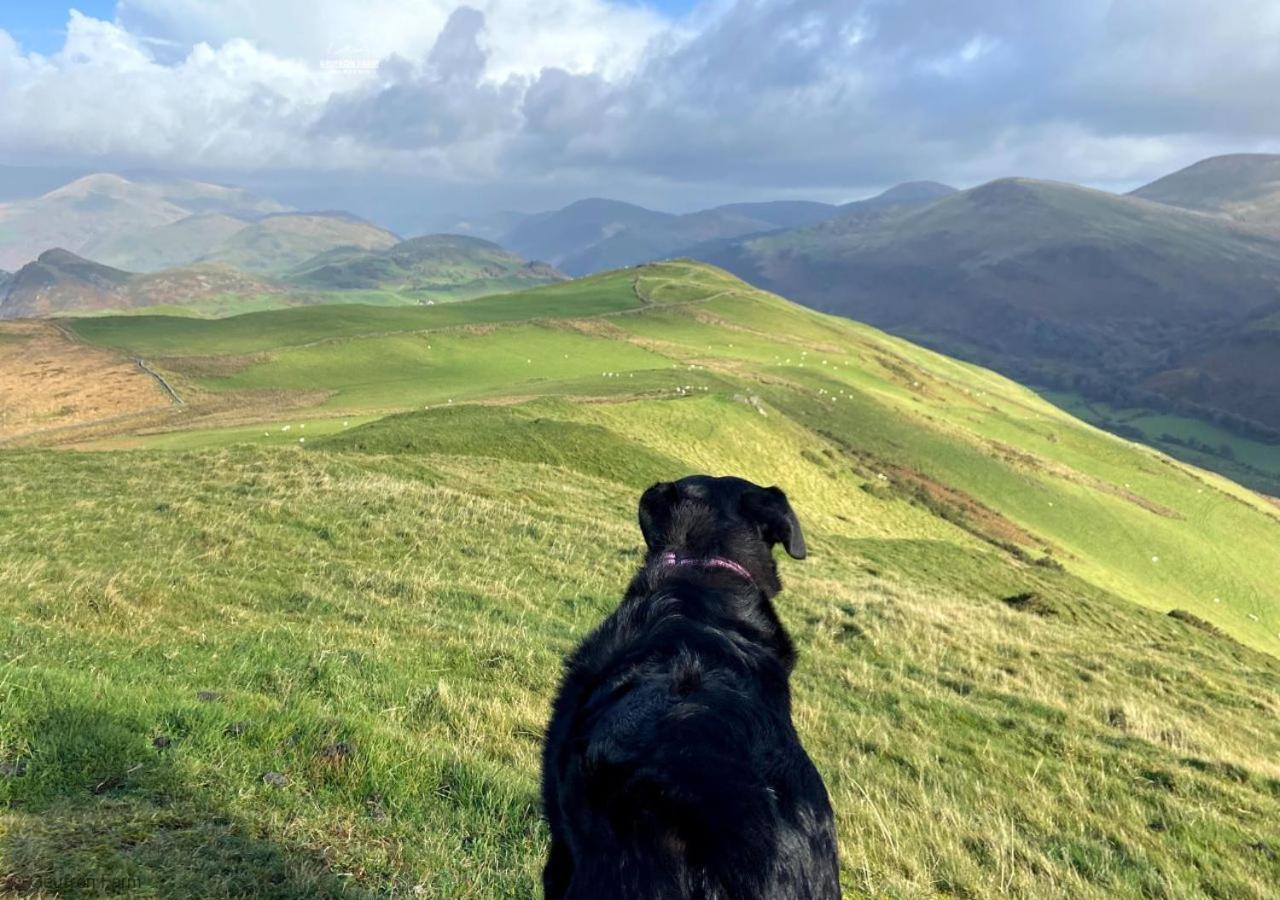 Dog Friendly Cottage, Geufron Farm Near Tywyn Bryn-crug ภายนอก รูปภาพ