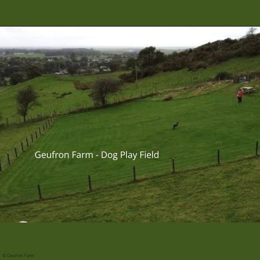 Dog Friendly Cottage, Geufron Farm Near Tywyn Bryn-crug ภายนอก รูปภาพ
