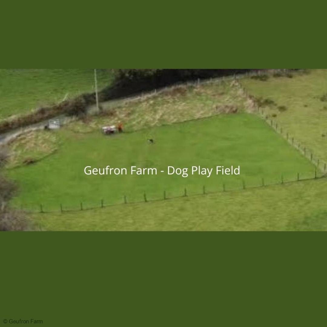 Dog Friendly Cottage, Geufron Farm Near Tywyn Bryn-crug ภายนอก รูปภาพ