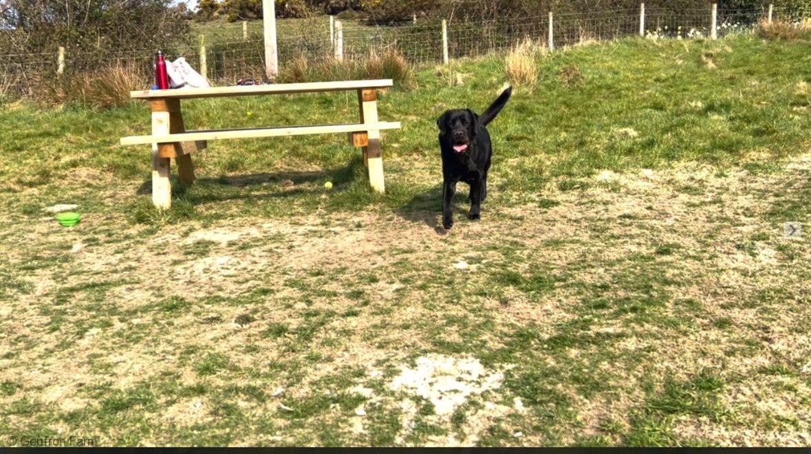 Dog Friendly Cottage, Geufron Farm Near Tywyn Bryn-crug ภายนอก รูปภาพ